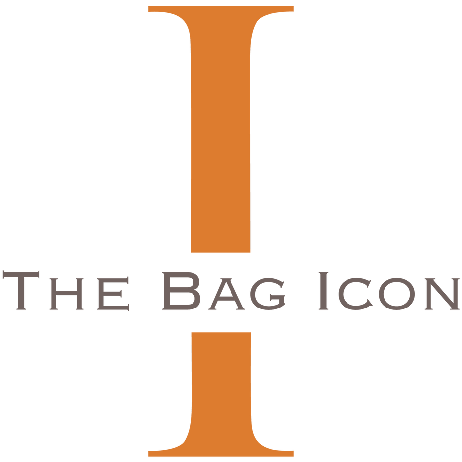 The Bag Icon